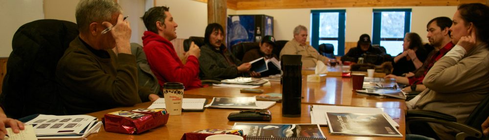 Big Fish Little Fish 