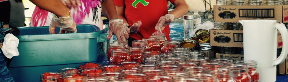 Big Fish Little Fish 