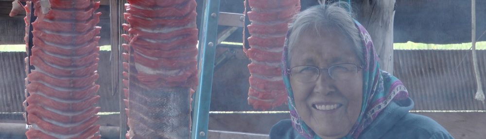 Big Fish Little Fish 